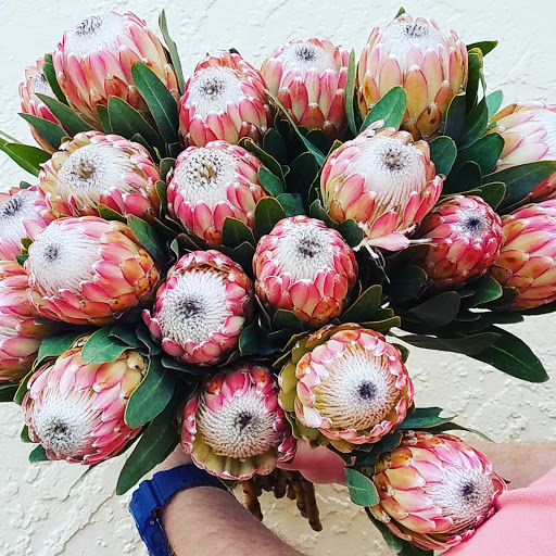 Florist «The JillTed Florist», reviews and photos, 1425 S Ft Harrison Ave, Clearwater, FL 33756, USA