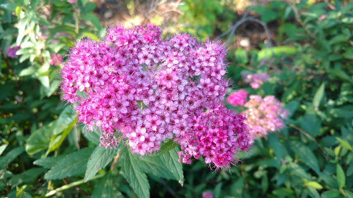 State Park «Bicentennial Capitol Mall State Park», reviews and photos, 600 James Robertson Pkwy, Nashville, TN 37243, USA