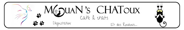 Photos du propriétaire du Café Mouans Chatoux - Café à chats à Mouans-Sartoux - n°5