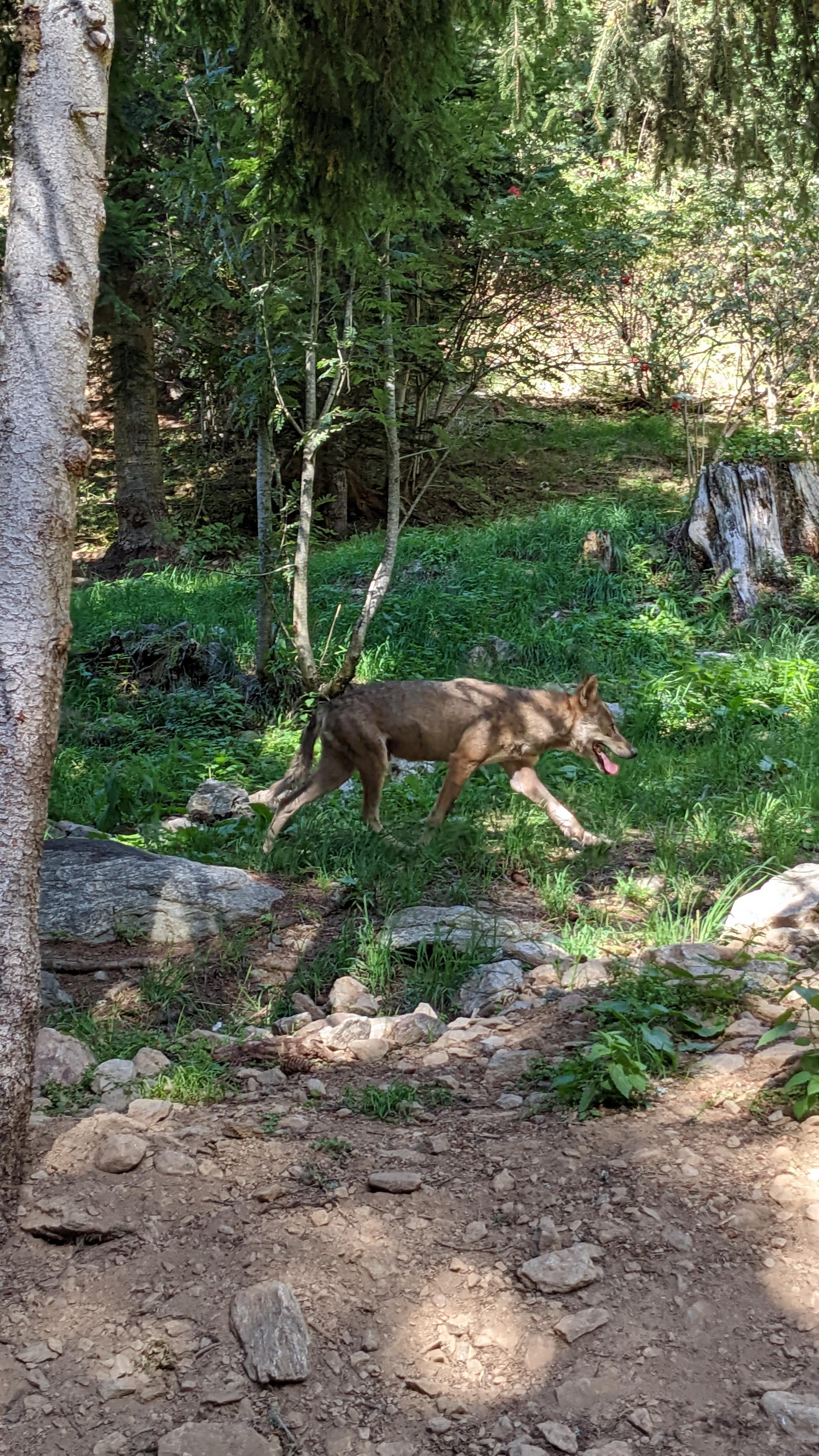 Photo n° 7 de l'avis de Florian.o fait le 11/09/2022 à 15:52
