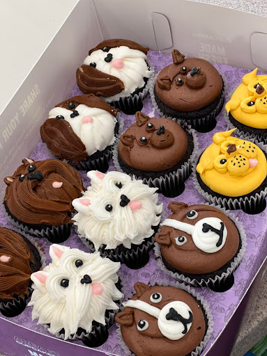 Cupcake Shop «Smallcakes: A Cupcakery of Naperville», reviews and photos, 115 E Ogden Ave #119, Naperville, IL 60563, USA