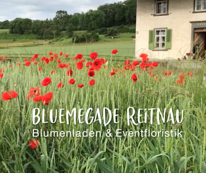 Bluemegade Reitnau