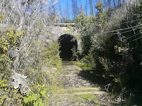Tunel FFCC El Quillay