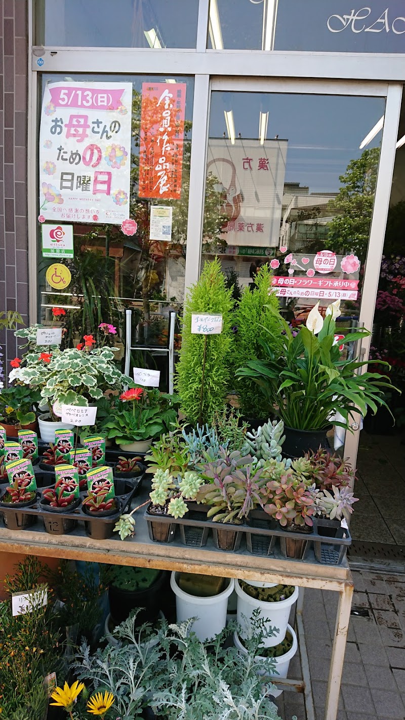 Flowershop 花松