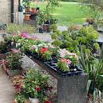 Photo n°3 de l'avis de AL. fait le 12/08/2023 à 20:32 sur le  Caffè La Serra à Venice