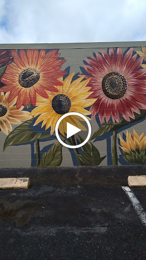 Vitamin & Supplements Store «Sunflower Health Foods - Gainesville», reviews and photos, 3424 W University Ave, Gainesville, FL 32607, USA