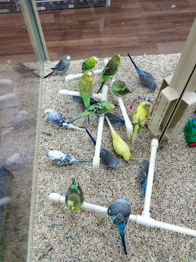 Pet Supply Store «Pet Supermarket», reviews and photos, 2090 E Arapaho Rd, Richardson, TX 75081, USA