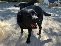 A Walk in the Park - Photo 4 - Car repair in Maumee, OH, Toledo