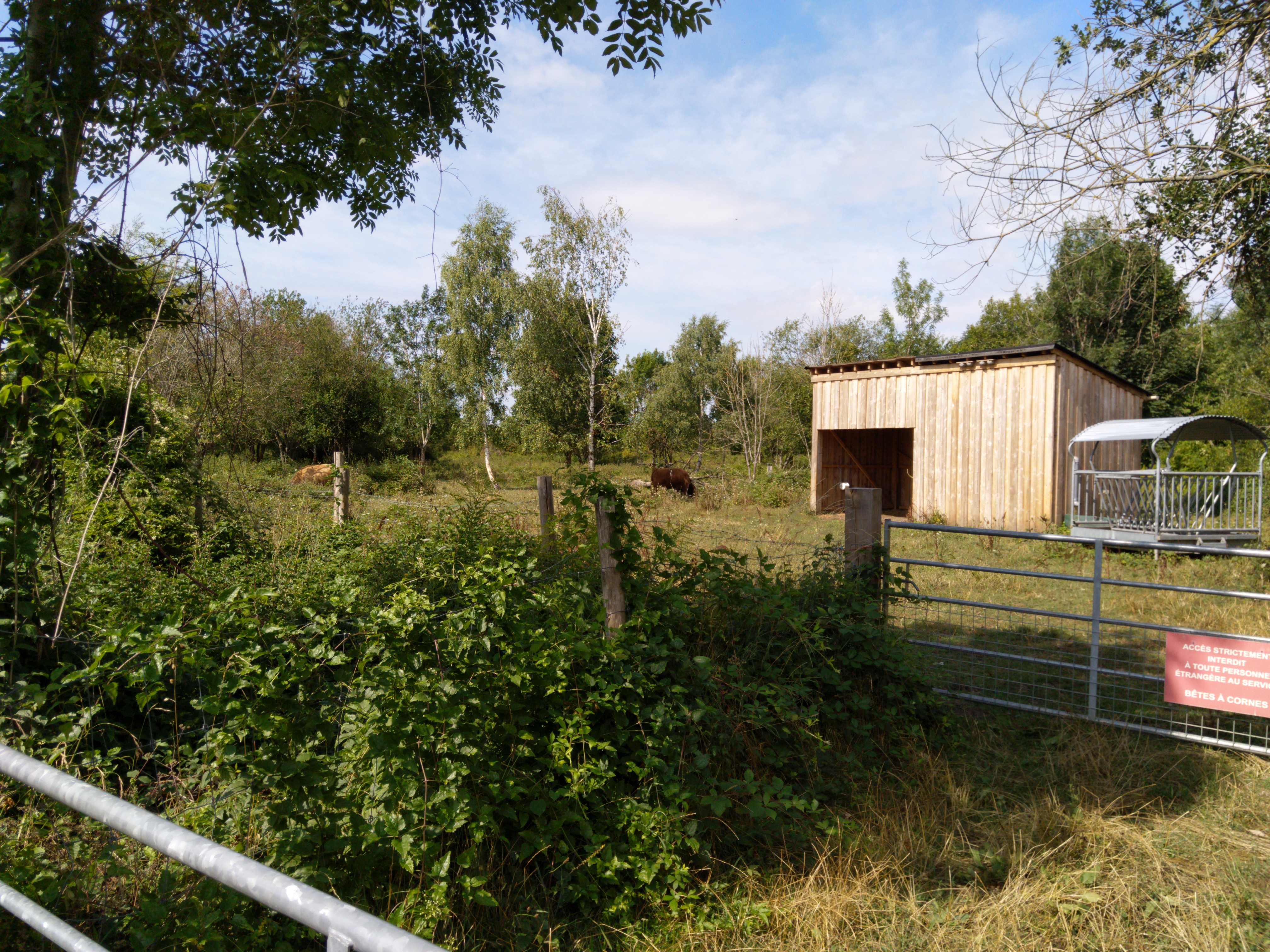 Photo n° 48 de l'avis de Fokop.i fait le 11/08/2018 à 16:27