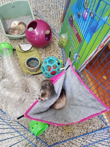 Fin-Tastic Fish & Pets