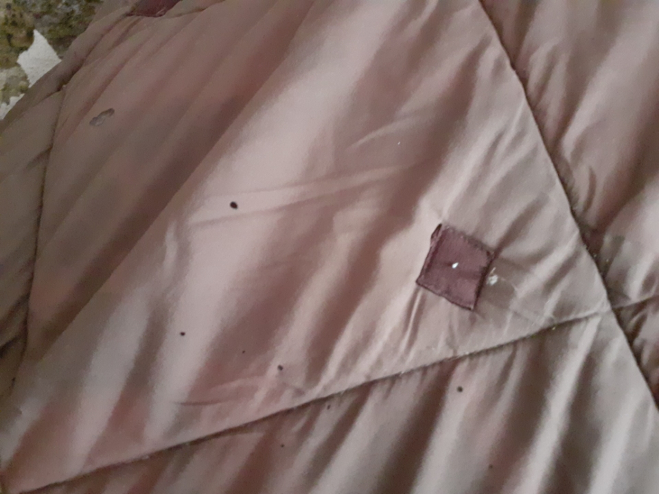 Photo n° 2 de l'avis de Lydie.a fait le 14/08/2020 à 22:28
