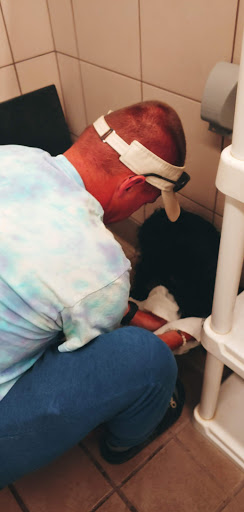 Pet Supply Store «Pet Supplies Plus», reviews and photos, 209 Towne Dr, Elizabethtown, KY 42701, USA