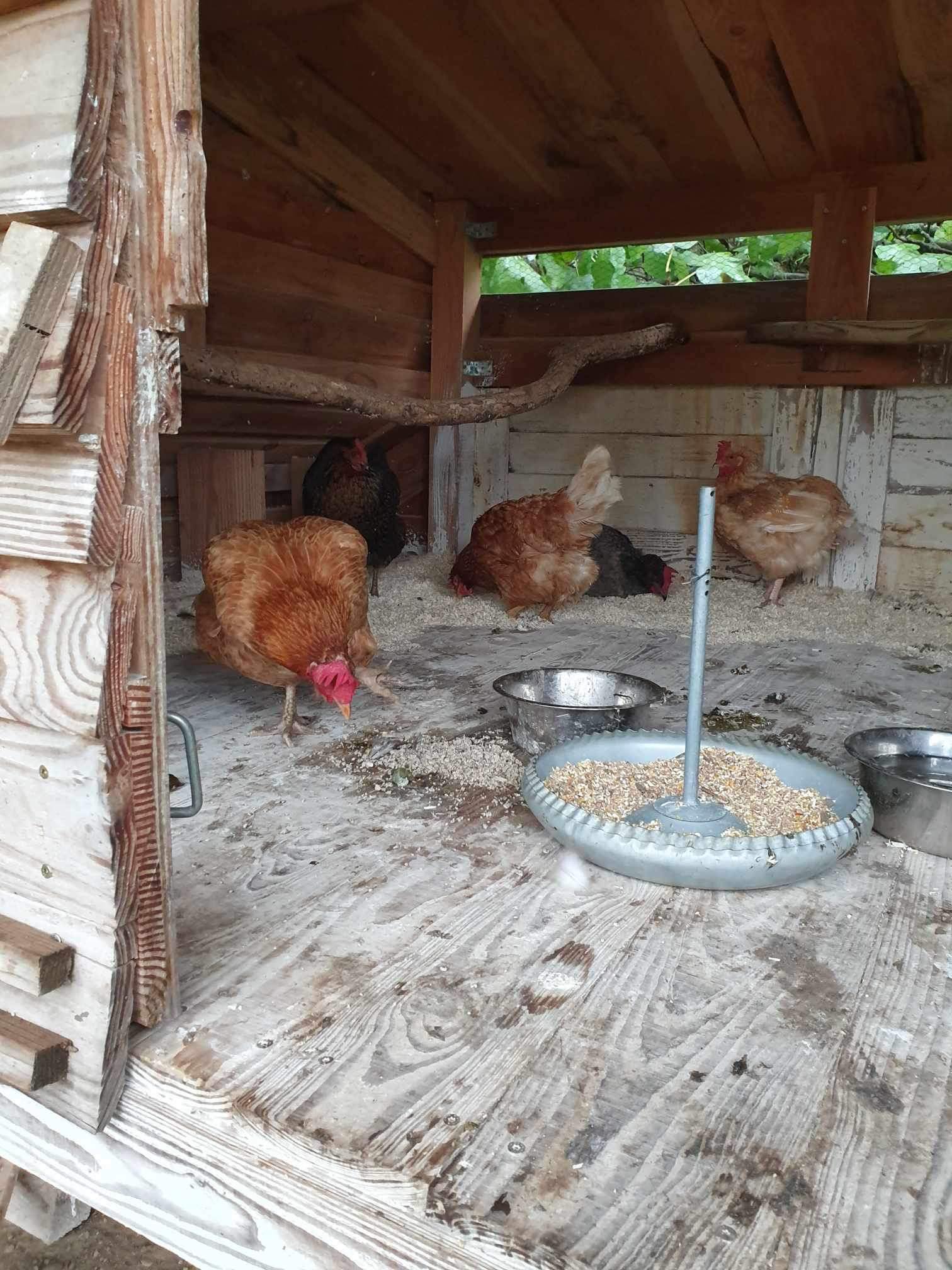 Photo n° 4 de l'avis de Clém. fait le 18/03/2024 à 14:38