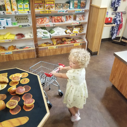 Non-Profit Organization «Pretend City Childrens Museum», reviews and photos