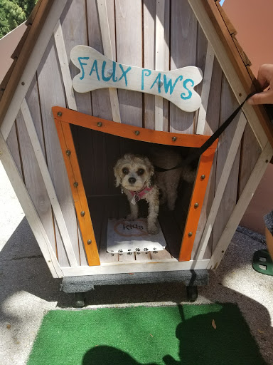 Gift Shop «Faux Paws», reviews and photos, 97 St George St, St Augustine, FL 32084, USA