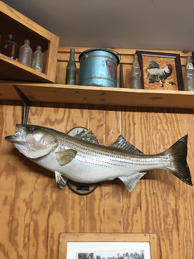 Grocery Store «Shelby Forest General Store», reviews and photos, 7729 Benjestown Rd, Millington, TN 38053, USA