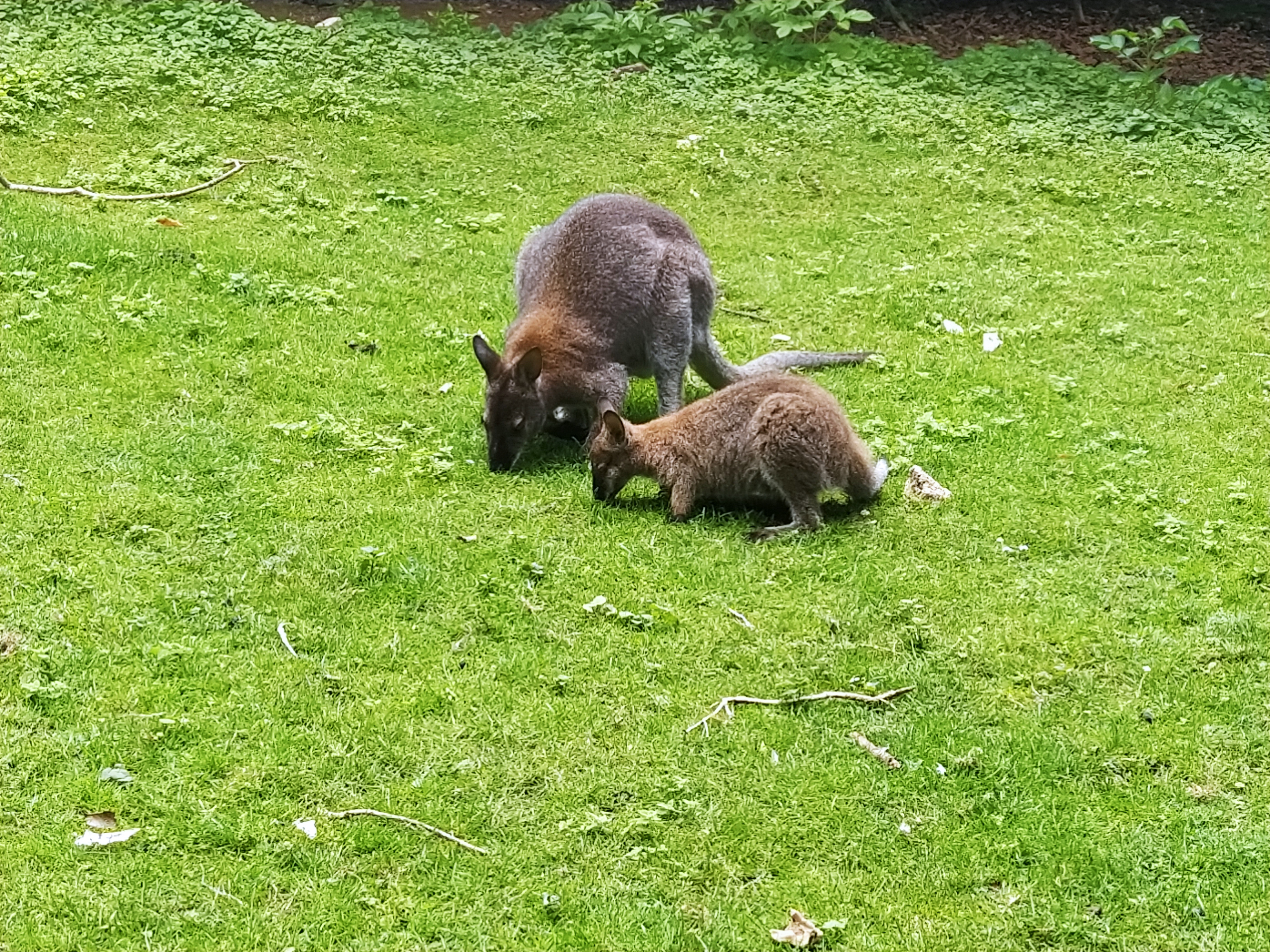 Photo n° 2 de l'avis de Melodie.o fait le 29/06/2022 à 17:29