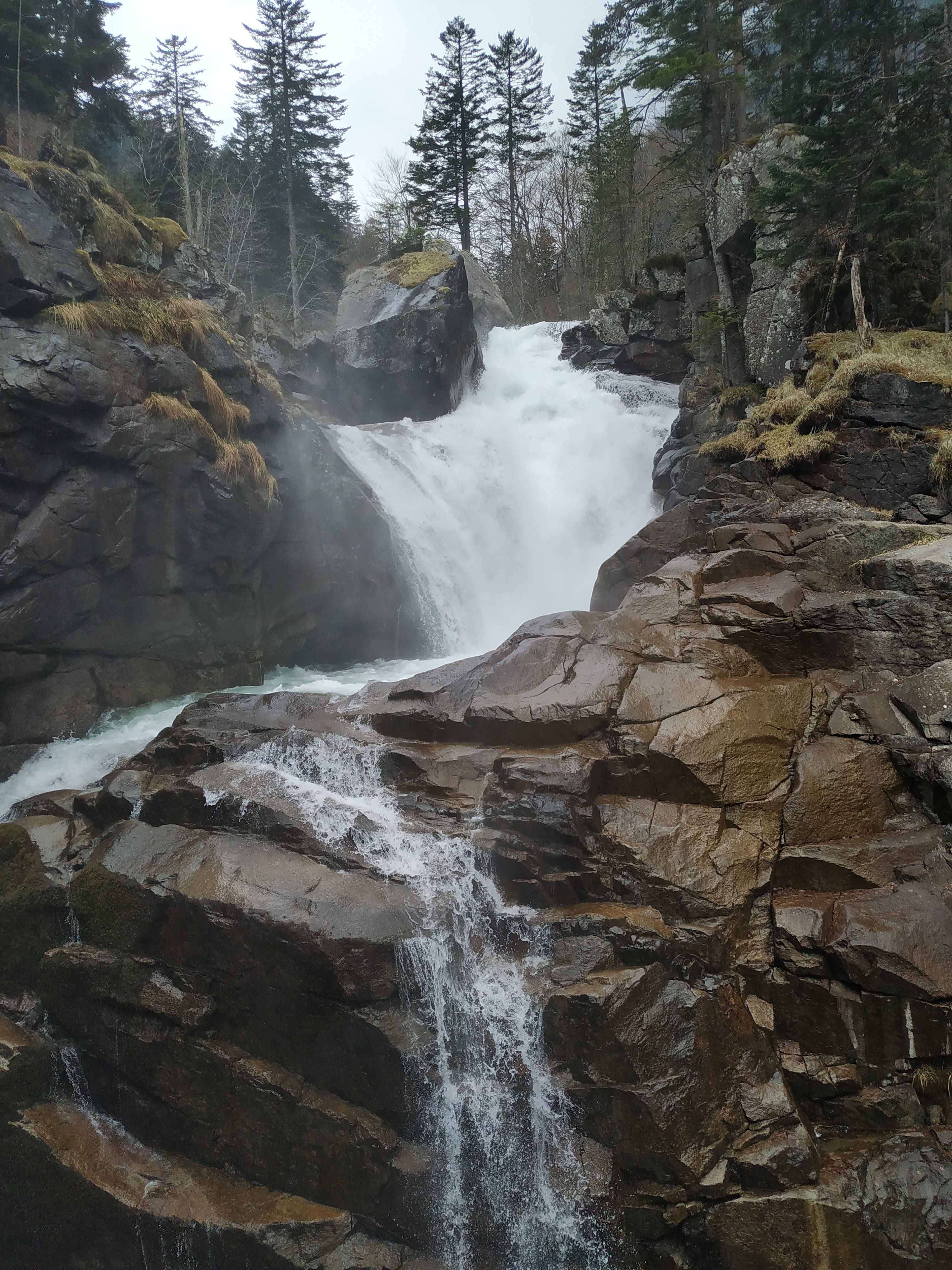 Photo n° 2 de l'avis de Pepe.o fait le 07/05/2019 à 10:38