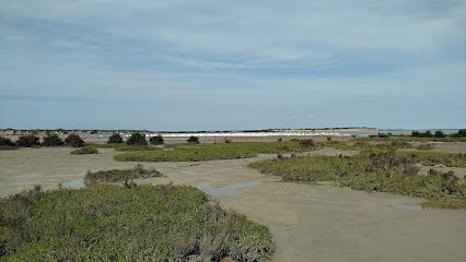 Laguna Madre y Delta del Río Bravo