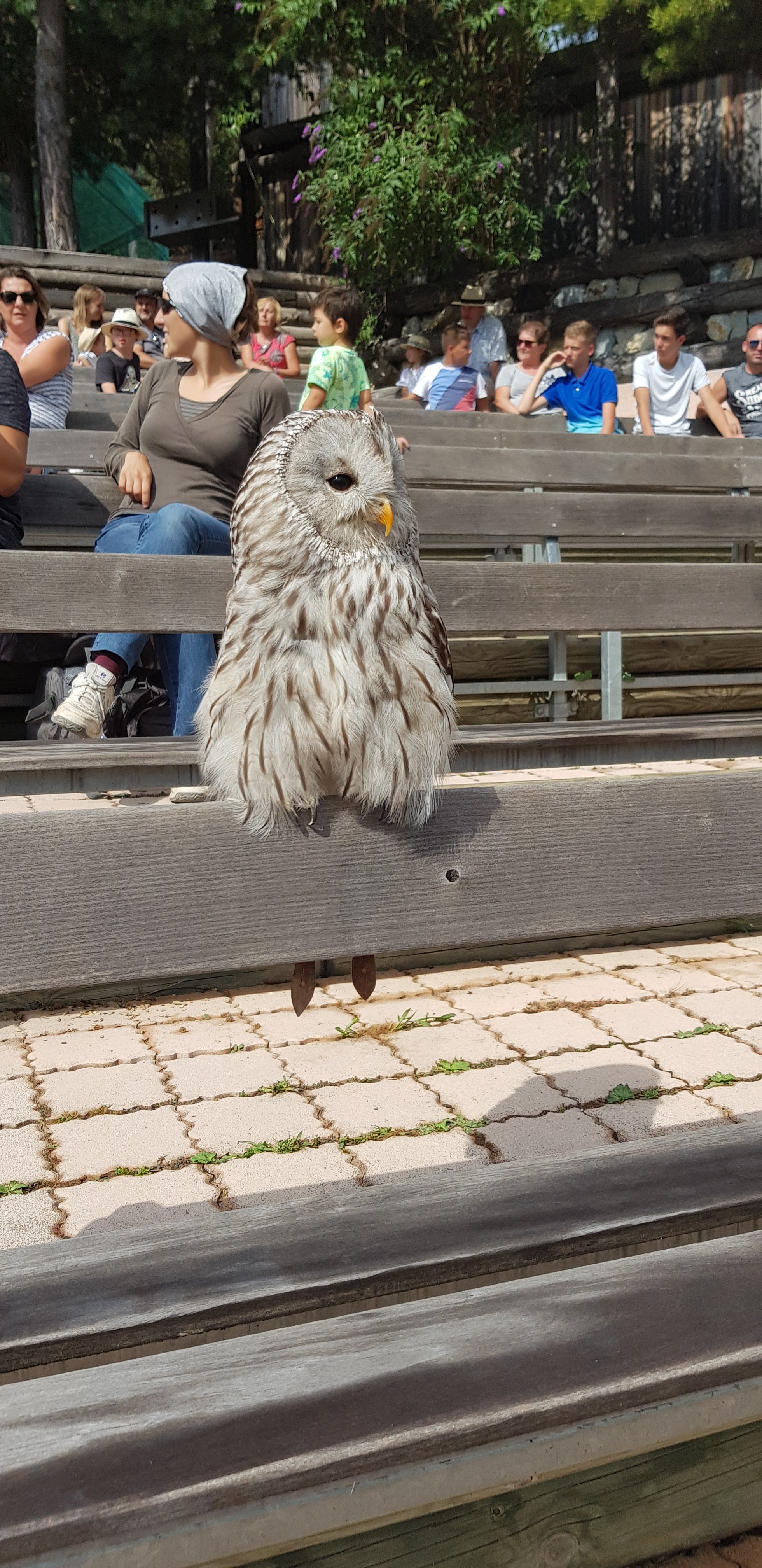 Photo n° 1 de l'avis de dams1710. fait le 20/08/2018 à 18:02