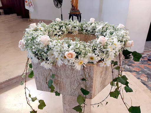 Floristeria insurgentes 216