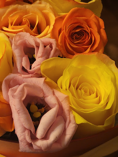 Florist «NE FLOWER BOUTIQUE», reviews and photos, 11702 Bustleton Ave, Philadelphia, PA 19116, USA