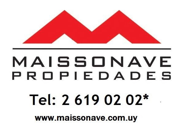 Opiniones de Maissonave Propiedades en Montevideo - Agencia inmobiliaria