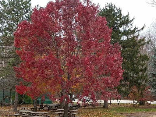 Zoo «Cleveland Metroparks Zoo», reviews and photos, 3900 Wildlife Way, Cleveland, OH 44109, USA