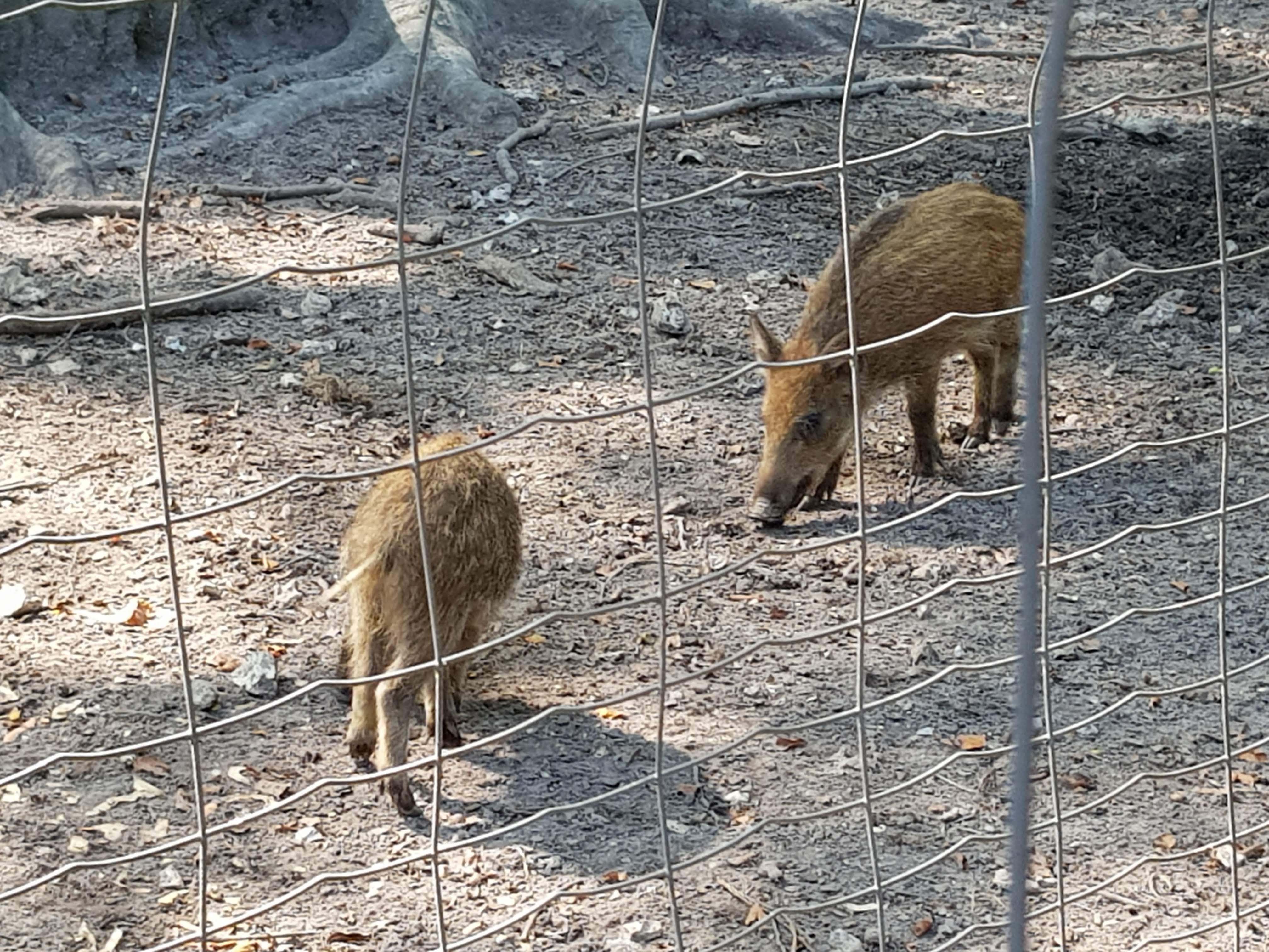 Photo n° 1 de l'avis de Langlois.a fait le 25/09/2018 à 10:44