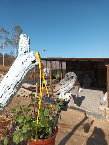 Ferienhaus Aconcagua Chile