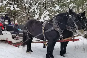 Cavanaugh Carriages image