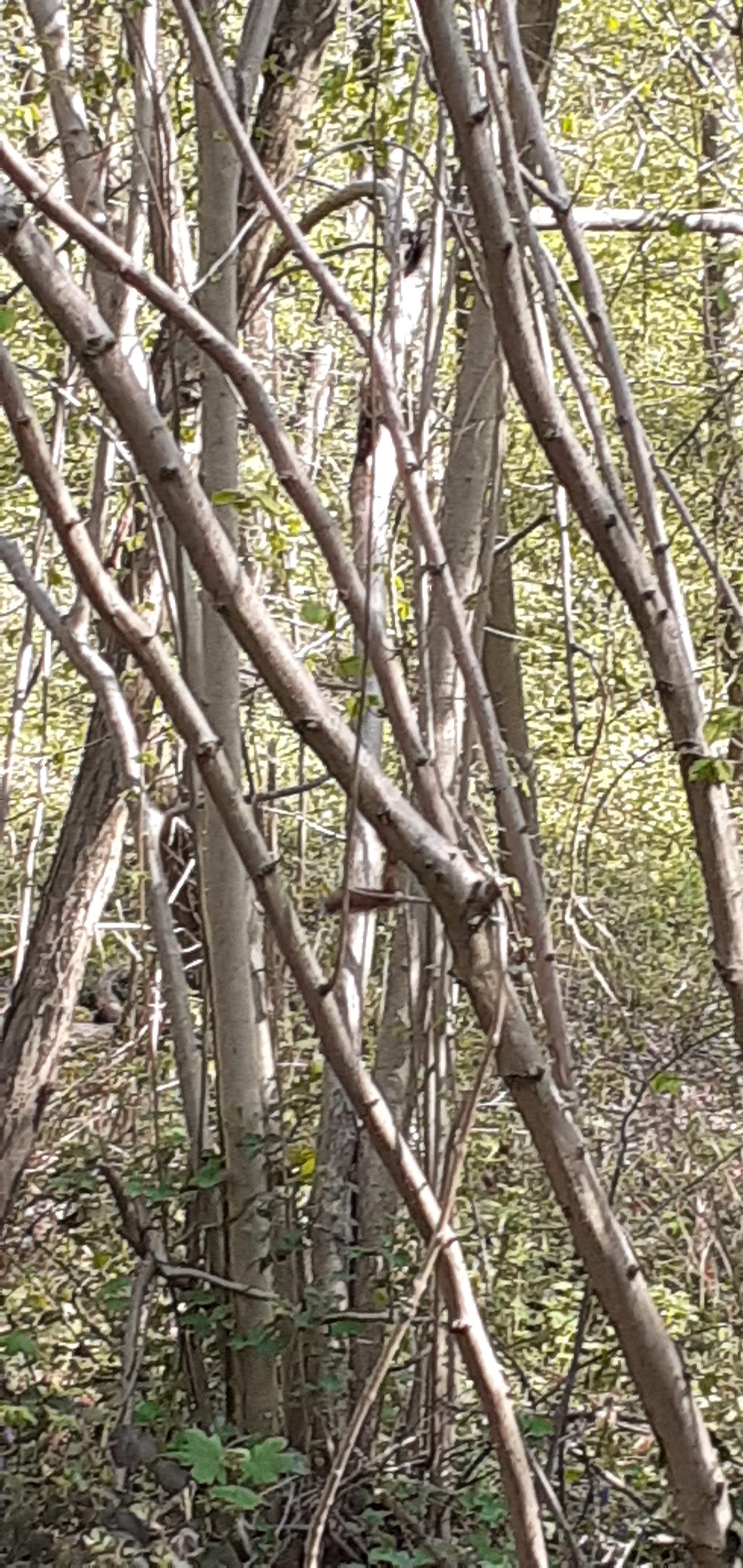 Photo n° 8 de l'avis de Marisa.e fait le 22/01/2022 à 09:15
