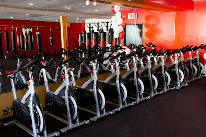 Try Hard Fitness - 600 Midland Ave, Staten Island, NY 10306