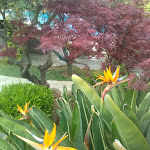 Photo n°2 de l'avis de Annalisa.u fait le 21/04/2019 à 17:17 sur le  Santavenere à Maratea