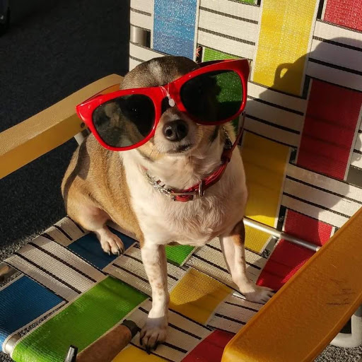 Thrift Store «JCOC Community Thrift», reviews and photos, 120 S Plaza Trail, Virginia Beach, VA 23452, USA