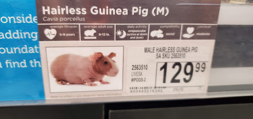 Pet Supply Store «Petco Animal Supplies», reviews and photos, 78720 CA-111, La Quinta, CA 92253, USA