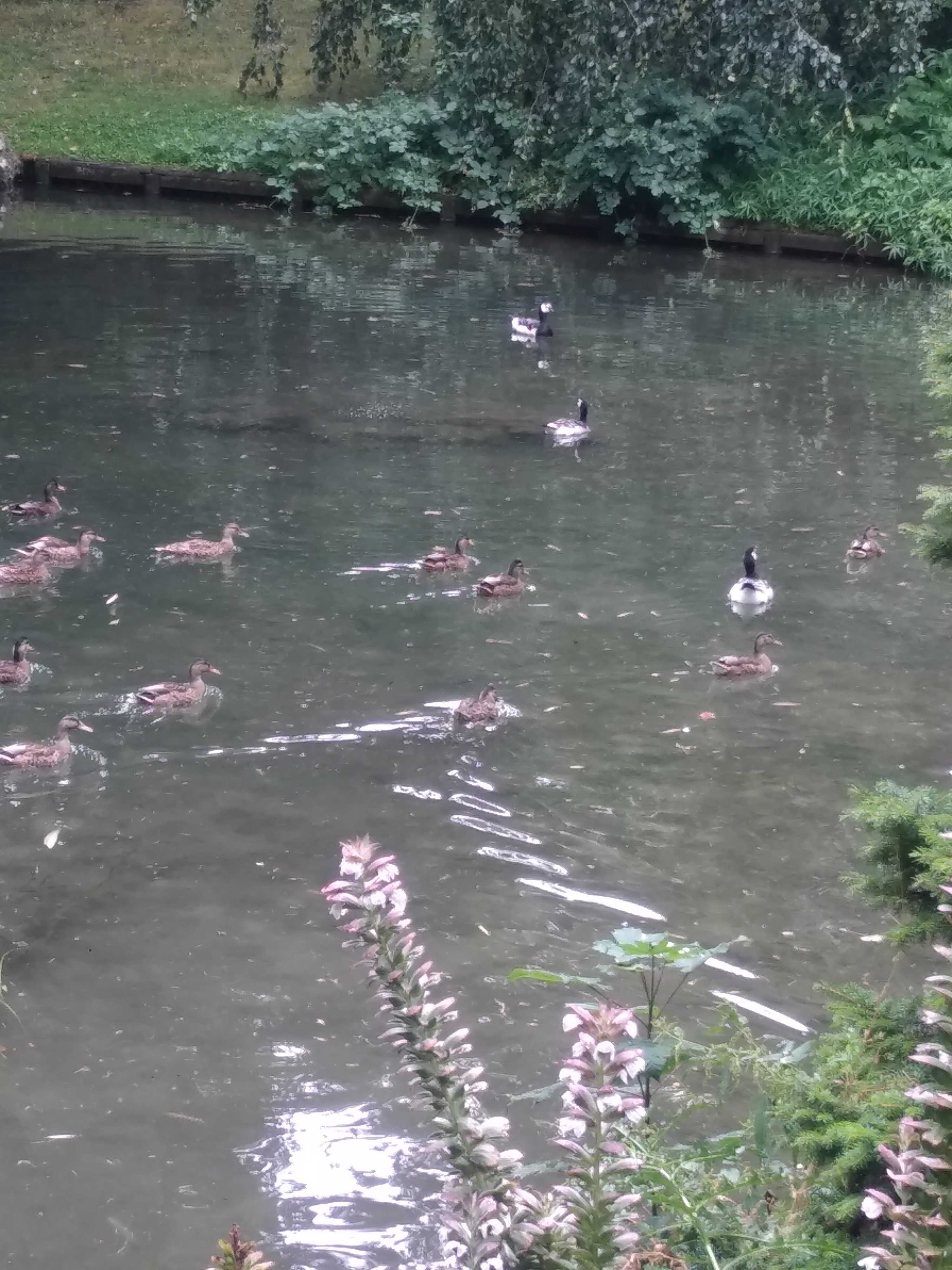 Photo n° 14 de l'avis de Céline.u fait le 28/07/2019 à 16:18
