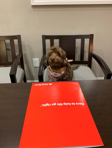 Insurance Agency «Patrick Blevins - State Farm Insurance Agent», reviews and photos