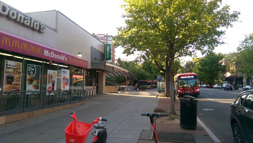 Hardware Store «Woodley Park Ace Hardware», reviews and photos, 2616 Connecticut Ave NW, Washington, DC 20008, USA