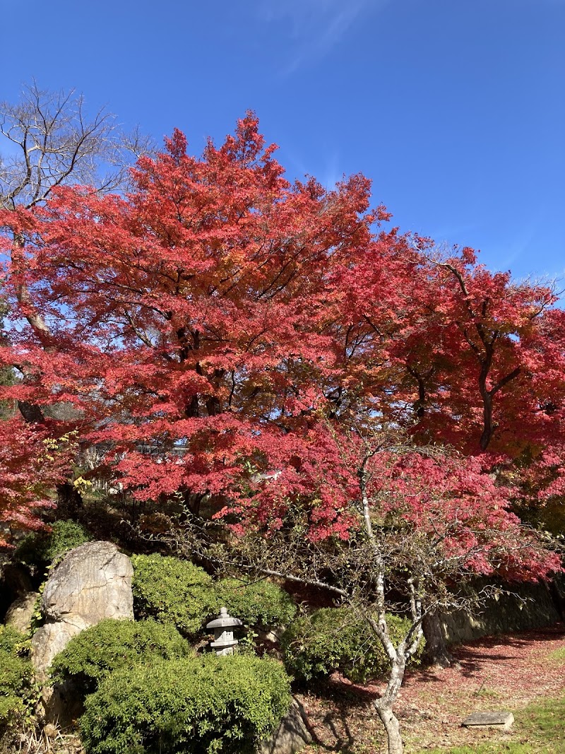 みやけ整骨院 山形県天童市南町 整体 グルコミ