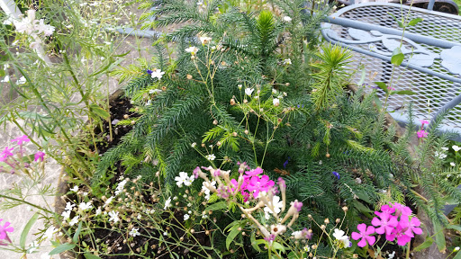 Towing Service «Abel Towing Wrecker & Auto Service», reviews and photos, 1717 Belvidere St, Waukegan, IL 60085, USA