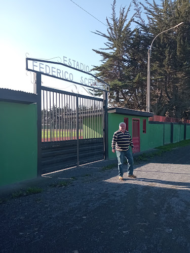 Opiniones de Estadio Municipal de Coronel Federico Schwager en Coronel - Campo de fútbol