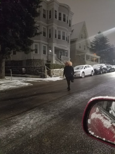 Park «Ceylon Park», reviews and photos, 105 Ceylon St, Boston, MA 02121, USA