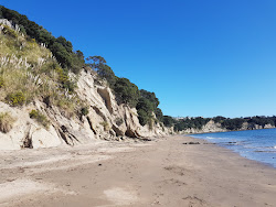 Foto van Kennedy Park Beach omringd door bergen