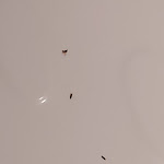 Photo n°1 de l'avis de Louis.E fait le 22/04/2023 à 20:20 sur le  Hotel San Francesco al Monte à Naples