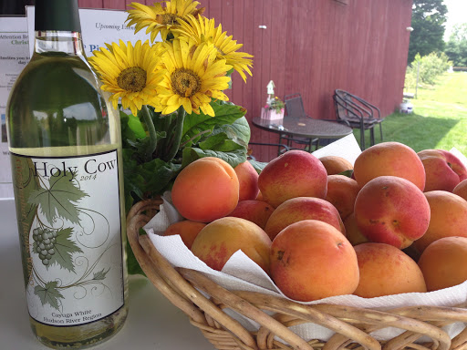 Winery «Christopher Jacobs Winery at Pennings Vineyards (Seasonally Open May-Oct)», reviews and photos, 320 Crawford St, Pine Bush, NY 12566, USA
