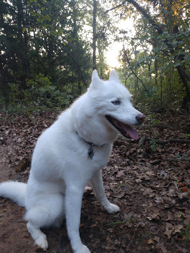 Park «Bob Jones Park», reviews and photos, 3901 N White Chapel Blvd, Southlake, TX 76092, USA