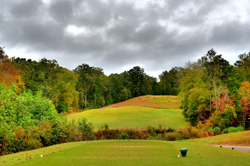 Public Golf Course «Fairways of Canton- Stratus Kitchen & Bar», reviews and photos, 400 Laurel Canyon Pkwy, Canton, GA 30114, USA