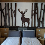 Photo n°7 de l'avis de Simone.a fait le 13/06/2019 à 19:11 sur le  Hotel | Bar | Ristorante - La Filanda Relax & Gourmet à Denno