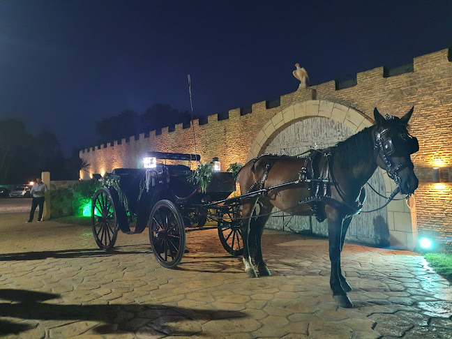 Σχόλια και κριτικές για το Varibobi Club